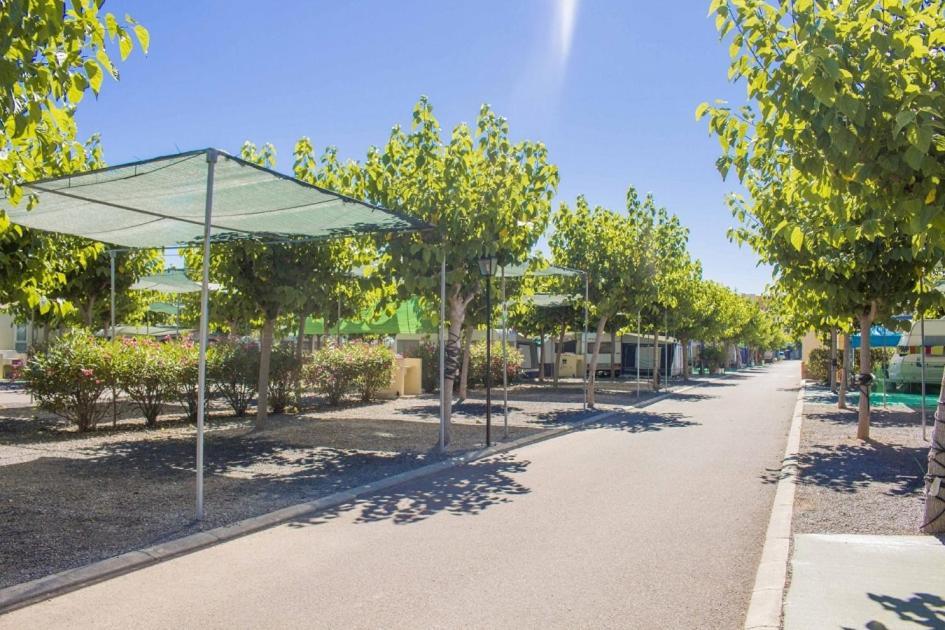 Camping y Bungalows Monmar Moncofar Bagian luar foto