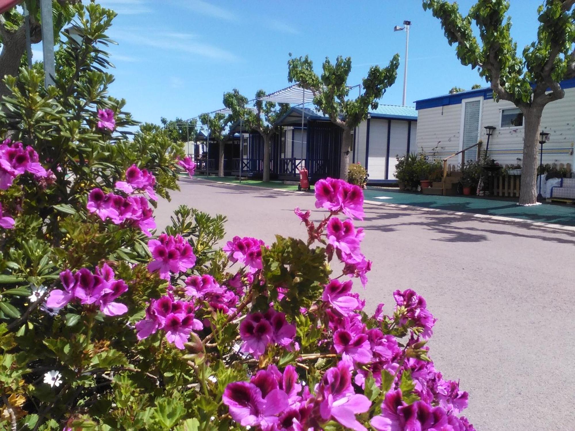 Camping y Bungalows Monmar Moncofar Ruang foto